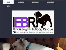 Tablet Screenshot of ilenglishbulldogrescue.org